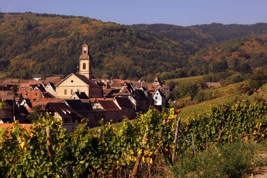 The wine Hills of the village of Riquewihr in the province of Alsace in France in Europe