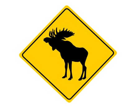 Attention moose