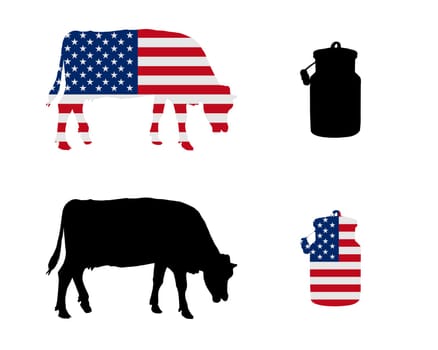 American dairy cow