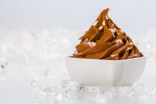 Tasty Brown Frozen Yogurt on White Bowl Surrounded by Ice on Table. Isolated on White Background.