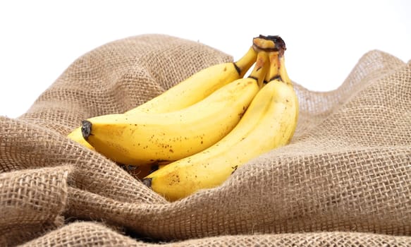 Bananas on jute