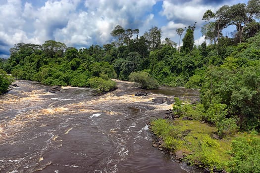 the green hell on the brown stream