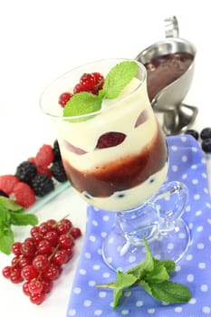 a dessert in a glass,layered with pudding,red grits and berries