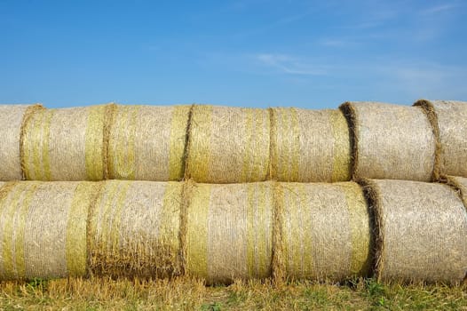 Round hay bales on the field
