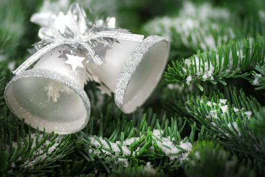 Silver shimmering Christmas bells lie on snow-covered fir branches