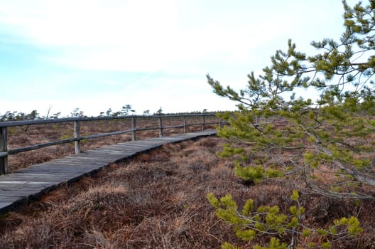 moorlandschaft