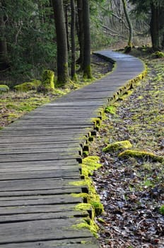 moorlandschaft