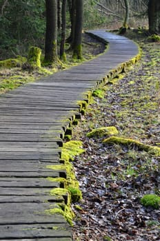 Moorlandschaft