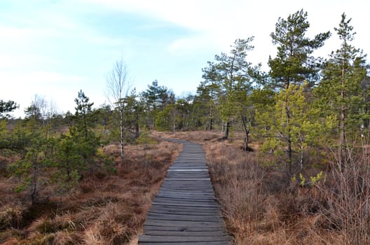 moorlandschaft