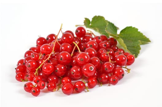 johannisbeeren
