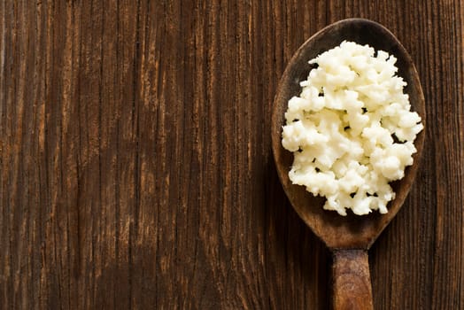 Milk kefir grains on a wooden spoon overhead shot
