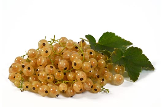 weiße johannisbeeren