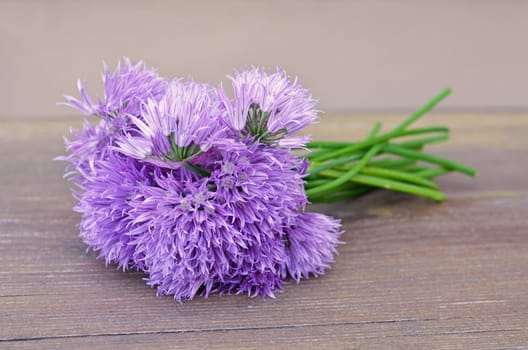 Chik blossoms