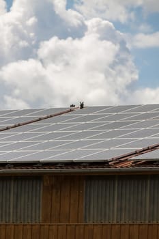 Photovoltaic solar cells on a roof alternative energy in outdoor sunshine