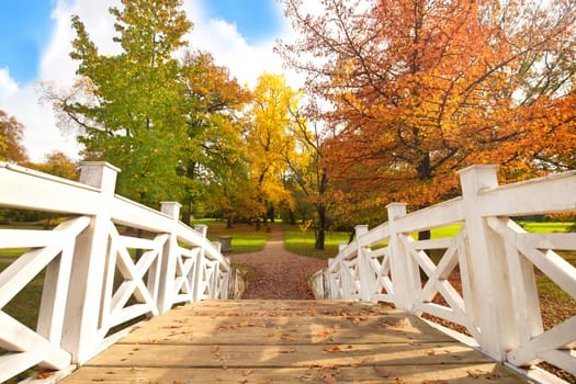 sunny autumn day in the park
