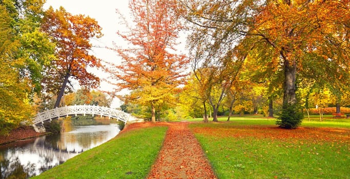 sunny autumn day in the park