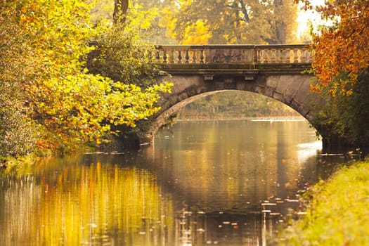 sunny autumn day in the park