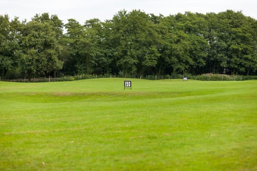 Driving range with golf balls and tee at a golf course in summer outdoors