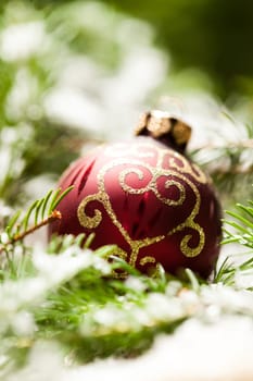 Decoration for Christmas with red and gold Christmas tree balls in front of green fir branches in the background