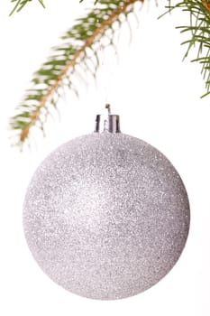 Traditional Christmas ball hung on a green fir branch isolated against a white background