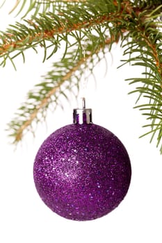 Traditional Christmas ball hung on a green fir branch isolated against a white background