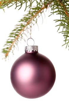 Traditional Christmas ball hung on a green fir branch isolated against a white background
