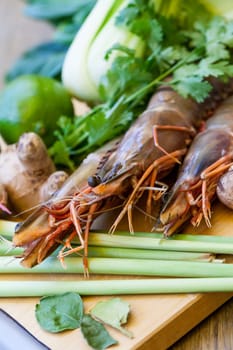 Ingredients for Tom Yam soup with lemongrass shrimp coriander on a kitchen board