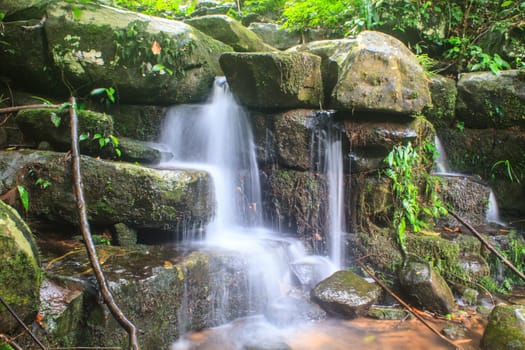 rainforest waterfall and rocks covered with moss