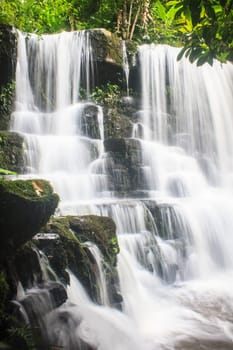 rainforest waterfall and rocks covered with moss