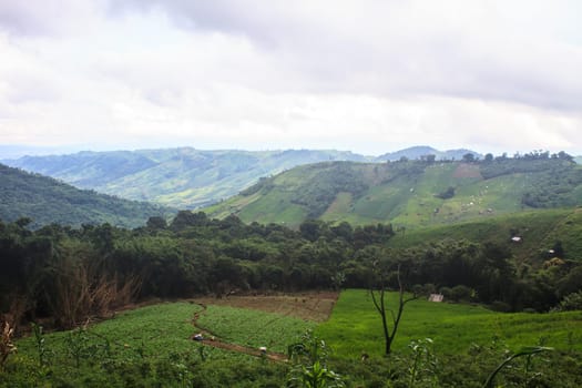 fields in the mountains, agricultural fields view