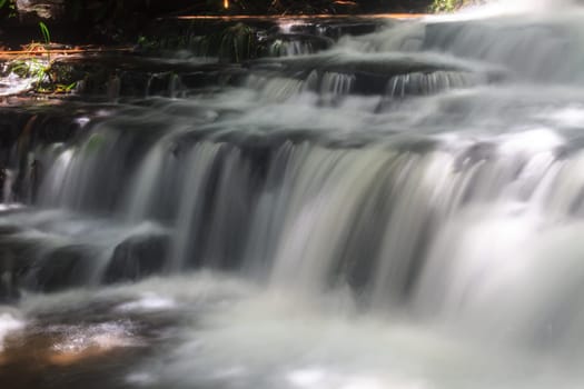 rainforest waterfall and rocks covered with moss