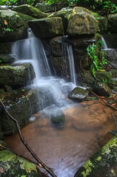 rainforest waterfall and rocks covered with moss