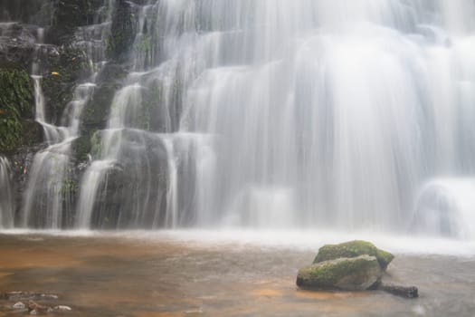 rainforest waterfall and rocks covered with moss
