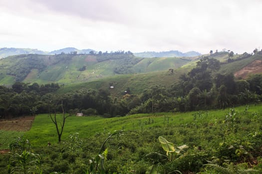fields in the mountains, agricultural fields view