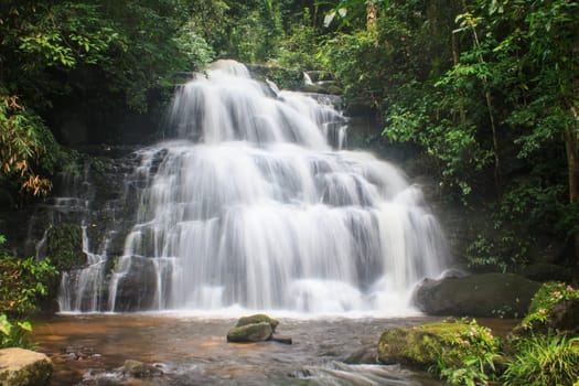 rainforest waterfall and rocks covered with moss
