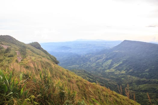beautiful green mountains and forest on top veiw