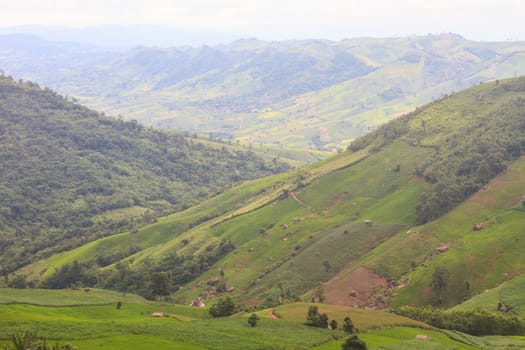 fields in the mountains, agricultural fields view