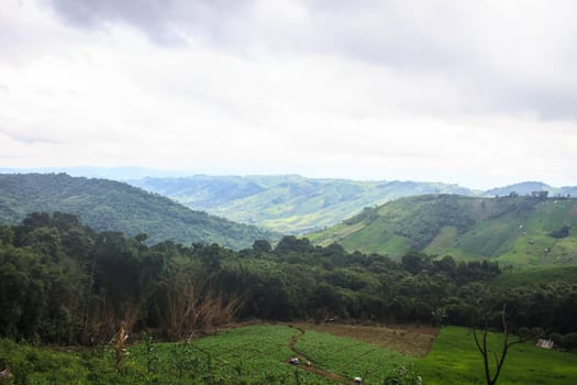 fields in the mountains, agricultural fields view