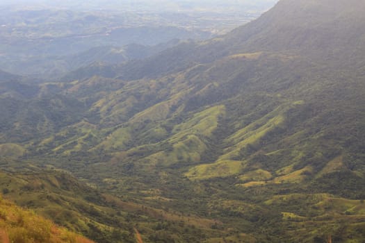 beautiful green mountains and forest on top veiw