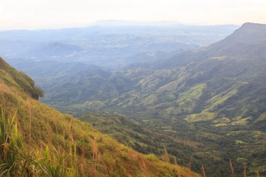 beautiful green mountains and forest on top veiw