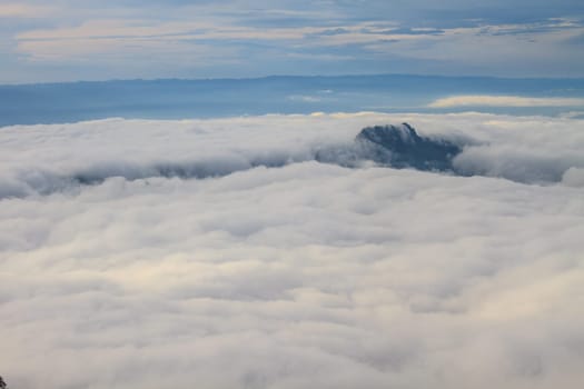 sea of fog with forests as foreground on mountain