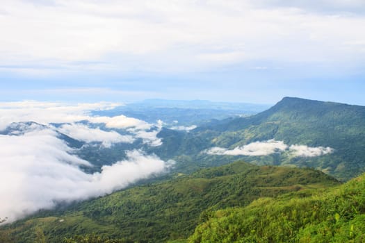 sea of fog with forests as foreground on mountain