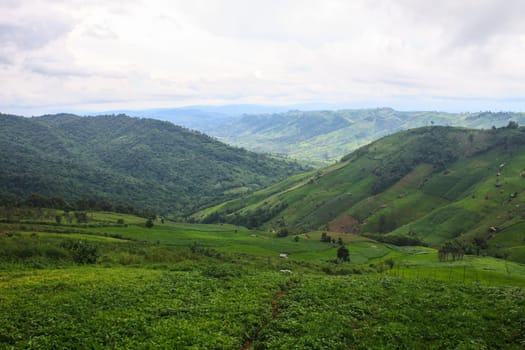 fields in the mountains, agricultural fields view