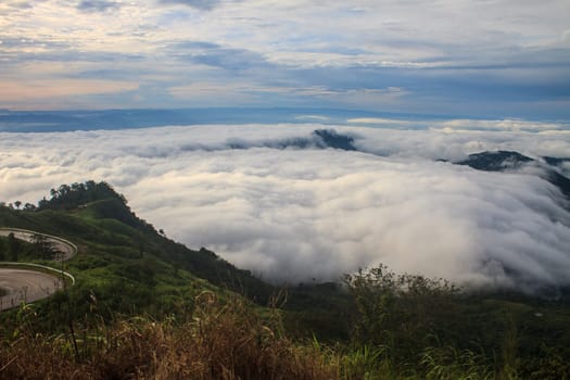 sea of fog with forests as foreground on mountain