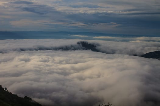sea of fog with forests as foreground on mountain