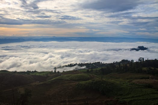 sea of fog with forests as foreground on mountain