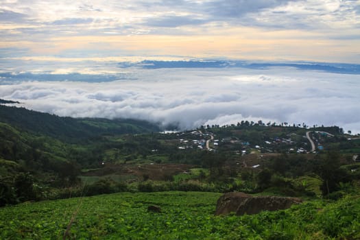 sea of fog with forests as foreground on mountain