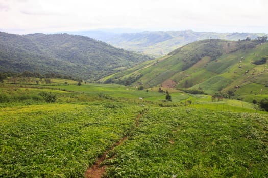 fields in the mountains, agricultural fields view