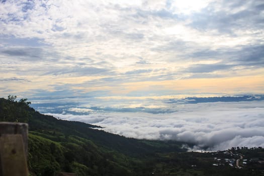 sea of fog with forests as foreground on mountain