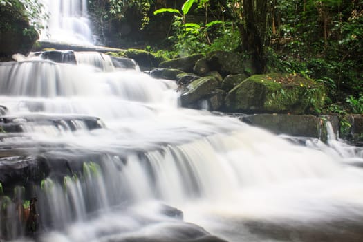 rainforest waterfall and rocks covered with moss